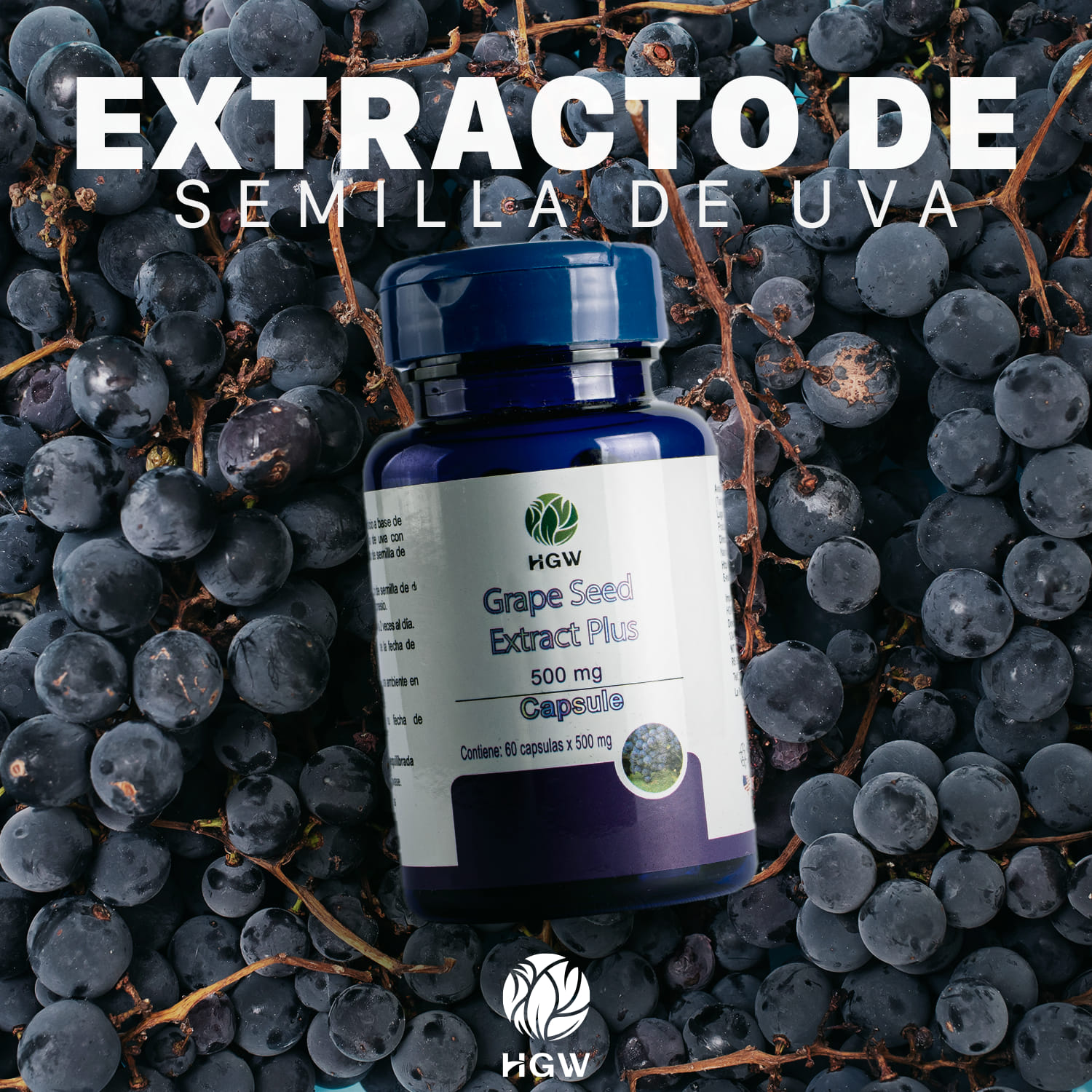 Extracto De Semillas De Uvas Hgw