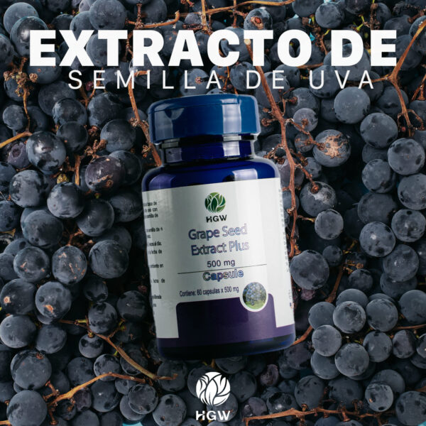 HGW Extracto de semillas de Uva