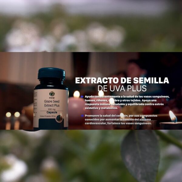 HGW Extracto de Semilla de Uva