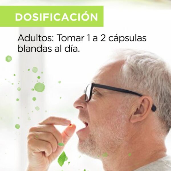 Lecitina de Soya - Image 2