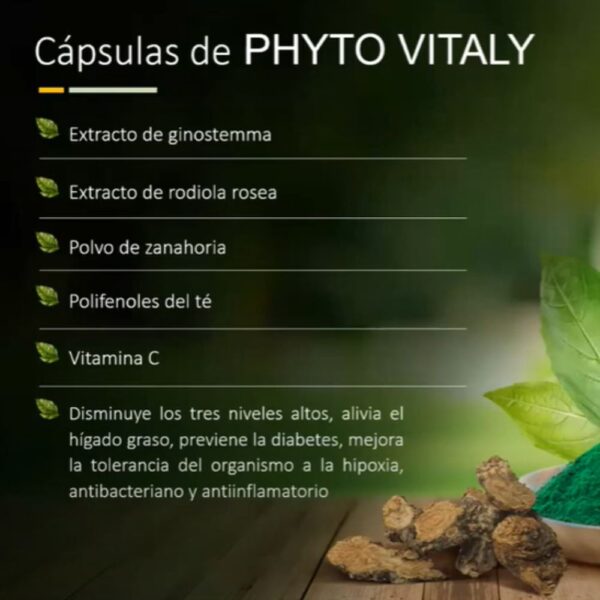 Phyto Vitaly - Image 2