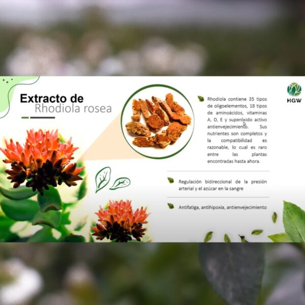 Phyto Vitaly - Image 3
