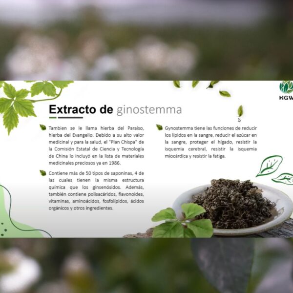 Phyto Vitaly - Image 4