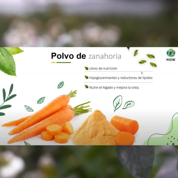 Phyto Vitaly - Image 5