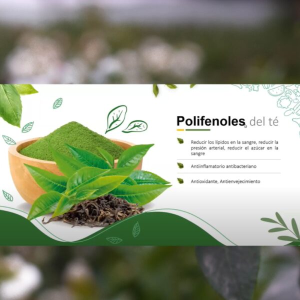 Phyto Vitaly - Image 6