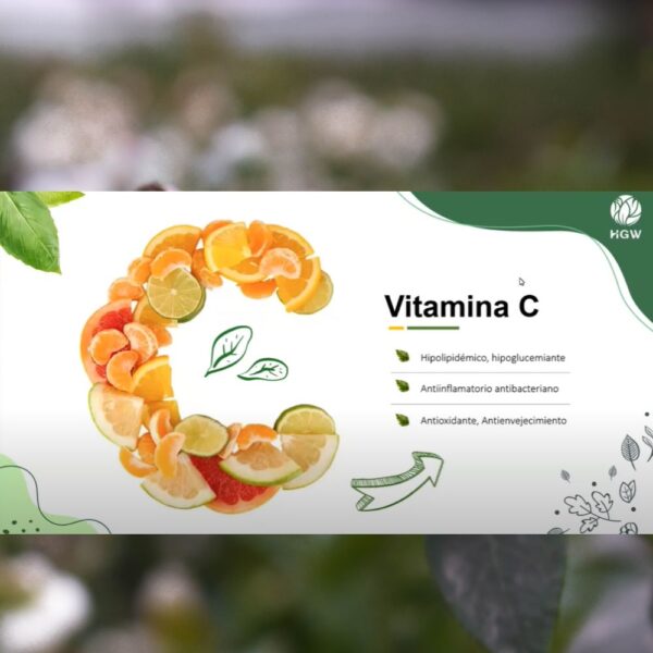 Phyto Vitaly - Image 7