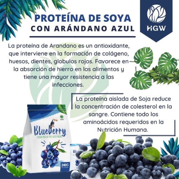 Proteína de Soya con Arándano - Image 4