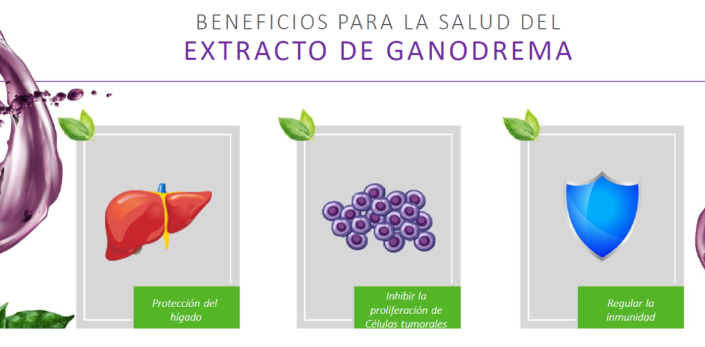 Beneficios ganoderma